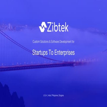 Zibtek Company Presentation