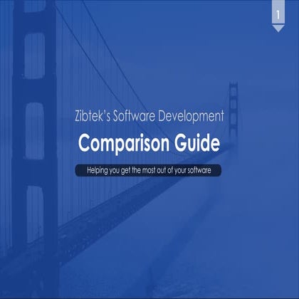 Zibtek’s Software Development Comparison Guide