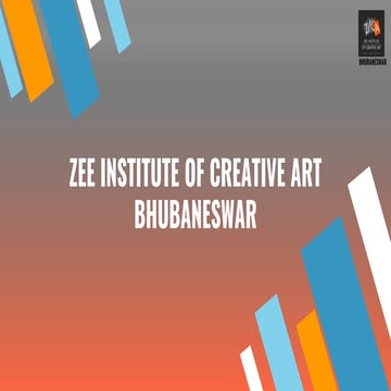 Zica profile presentation