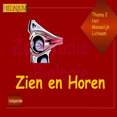Zien En Horen