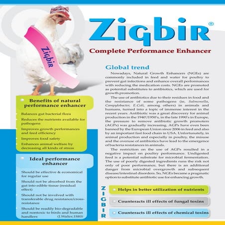 Zigbir