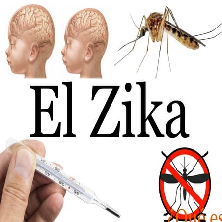 Zika1