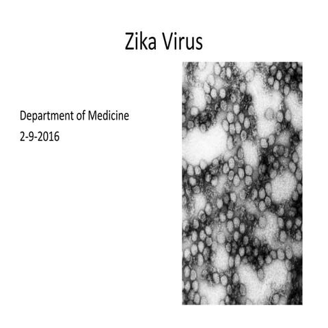 Zika virus