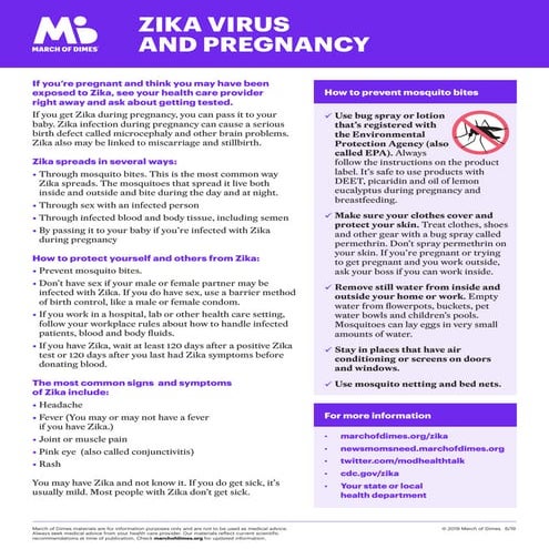 Zika virus and_pregnancy_fact_sheet
