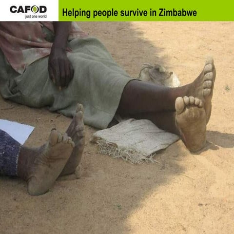 Zimbabwe: Helping people survive