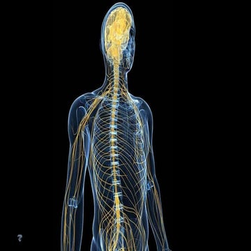 Deutsche Telekom Partnering Operating Alliance Summit - Zimperium