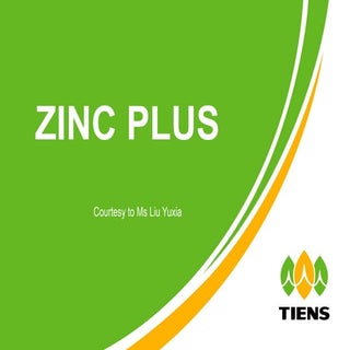 Zinc Plus
