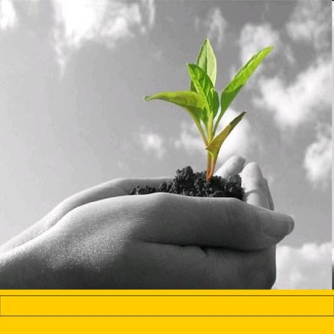 Zirai Mücadele Yöntemleri