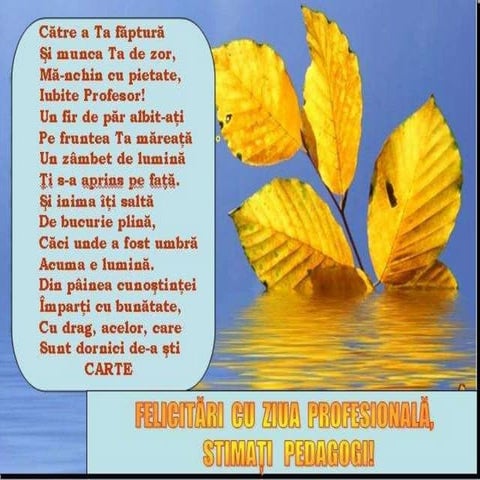 Ziua Pedagogului