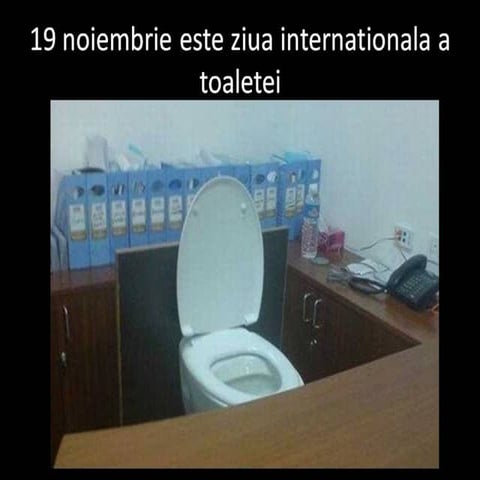 Ziua Toaletei Este In 19 Noiembrie