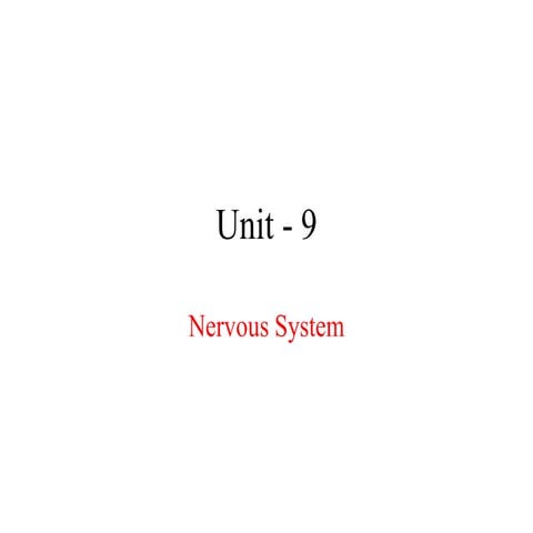 Nervous system