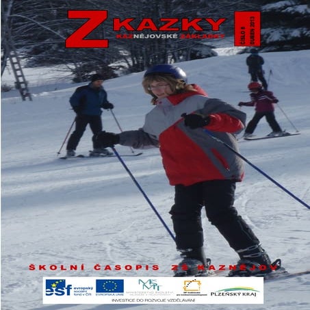 Zkazky 8 2013