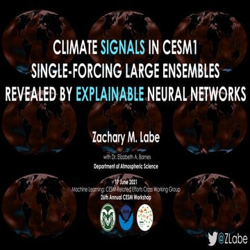 Climate Signals in CESM1 Single-Forcing Large Ensembles Revealed by Explainab...
