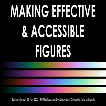 Course on making accessible data visualizations | PDF