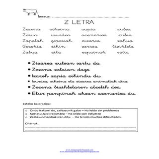 Z letr aetxeko balorazioa