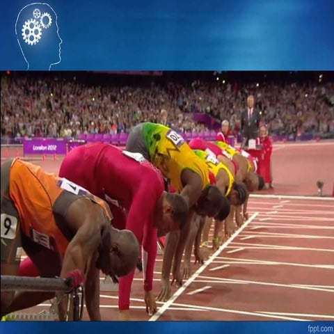 Functional Neuroanatomy of the Motor System from Planning to Execution