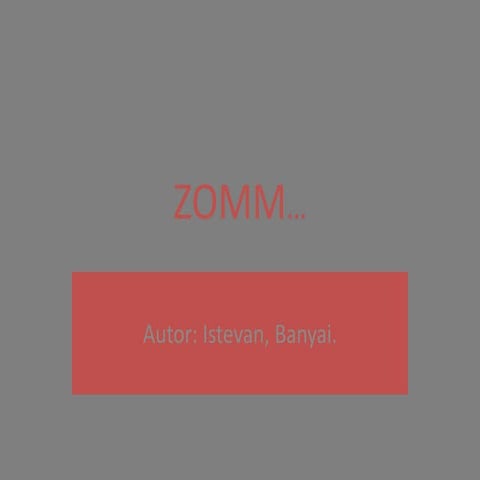 Zomm.libro álbum