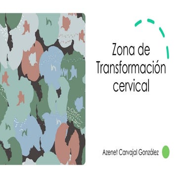 Comprehensive Overview of Cervical Transformation Zone and ...