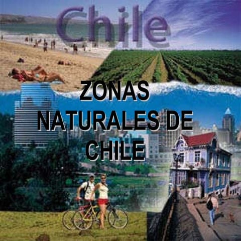 Zona norte grande y chico | PPT