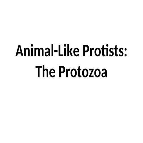 PROTOZOA _slide_presentation  slide .ppt
