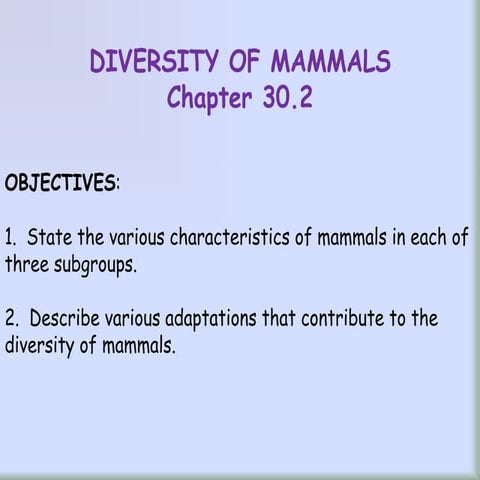 ZOO 8 - Diversity of Mammals and classes of Mammals