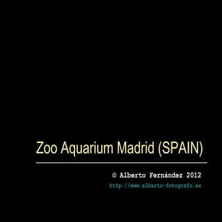 Zoo Aquarium Madrid
