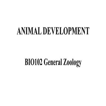 Zoology lecture ANIMAL-DEVELOPMENT pdf ppt
