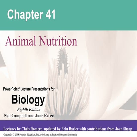 ZooLec Chapter 13 (Digestive System).ppt