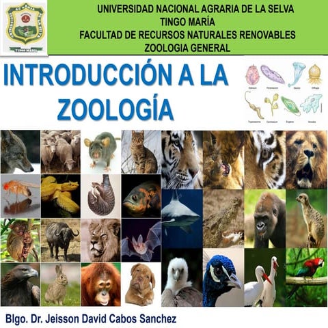 ZOOLOGIA introduccion a la zoologia general PPT