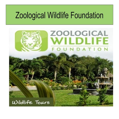 Zoological Wildlife Foundation