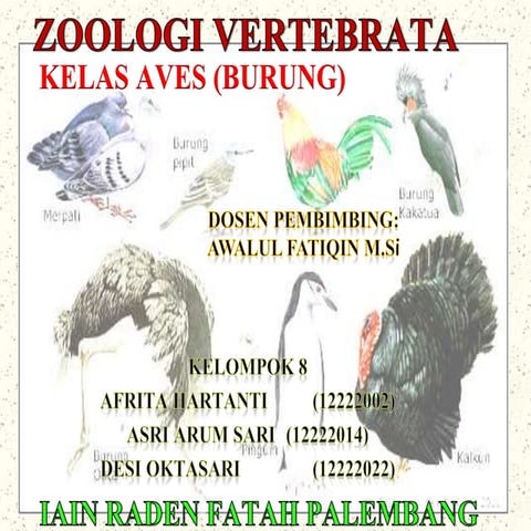 Aves (Burung)