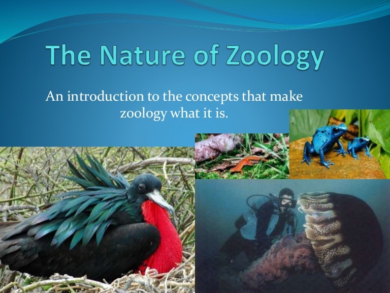 Zoology