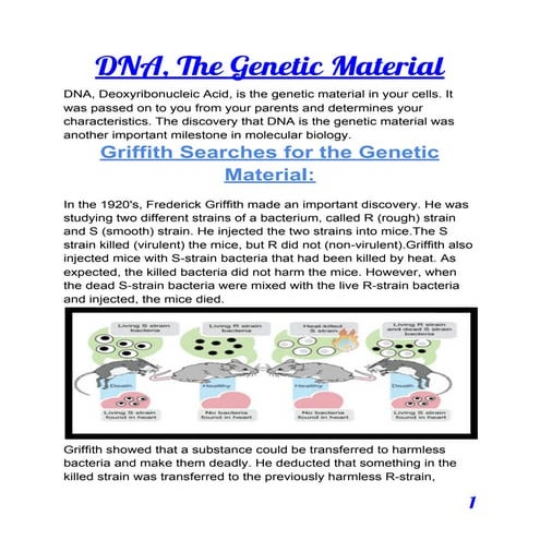 ❤️DNA as a heredity material❤️ 