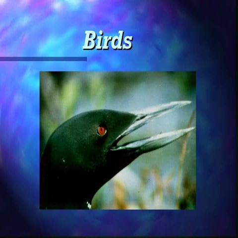 Zoology vertebrates class lecture 10.ppt