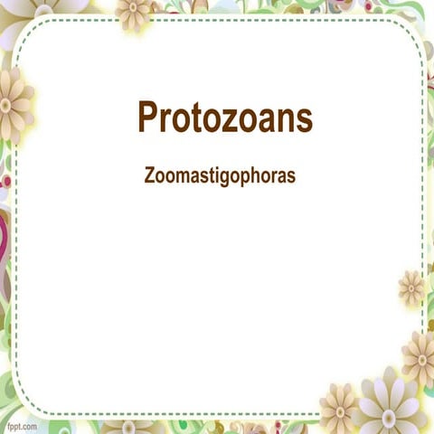 classification of Protozoa