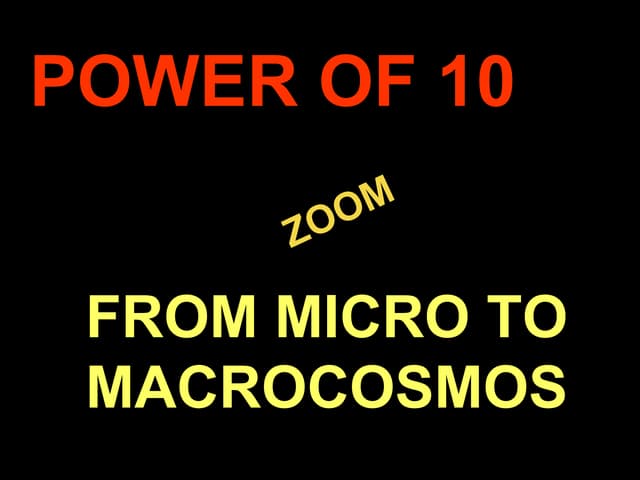 Zoomout zoomin