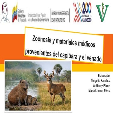 Zoonosis and Medical Materials from Capybara and Deer: Risks and ...