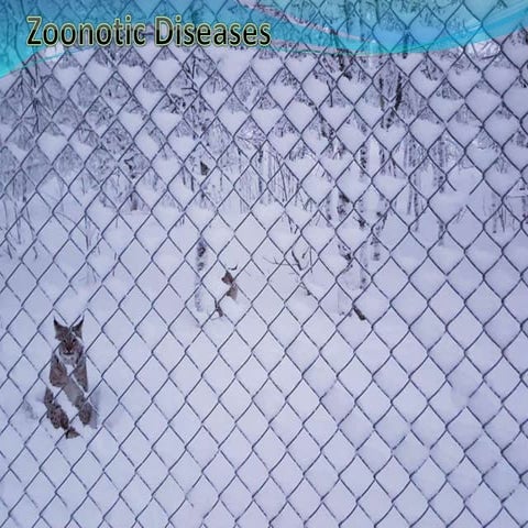 Zoonotic and tick-borne diseases