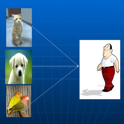 Zoonotic Diseases By Imran