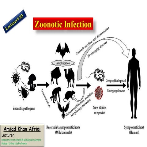 Zoonotic Infection.pptx