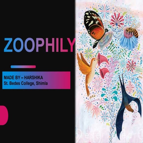 zoophily-pollination-with-help-of-animals-pptx