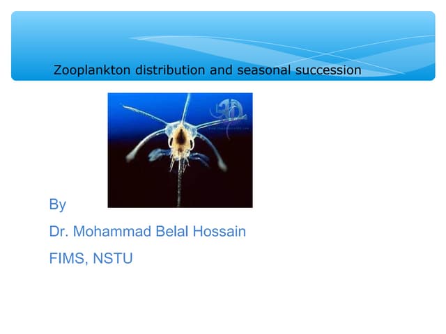 Zooplankton distribution and seasonal succession