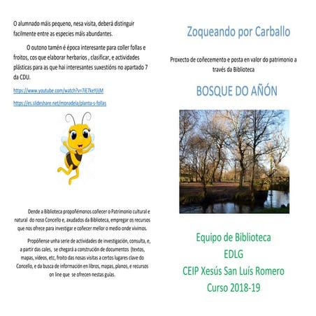 ZOQUEANDO POR CARBALLO. BOSQUE DO AÑÓN