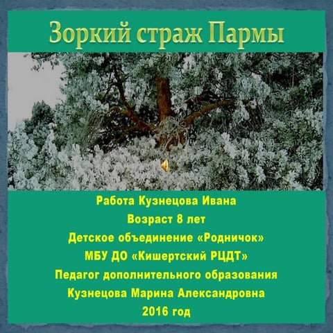 Zorkii strag parmi._kuznecov_ivan