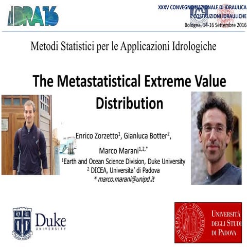 Metastatistical Extreme Value distributions