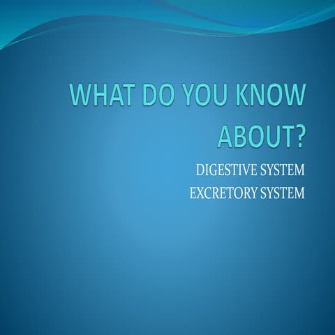 Digestive system   food v06