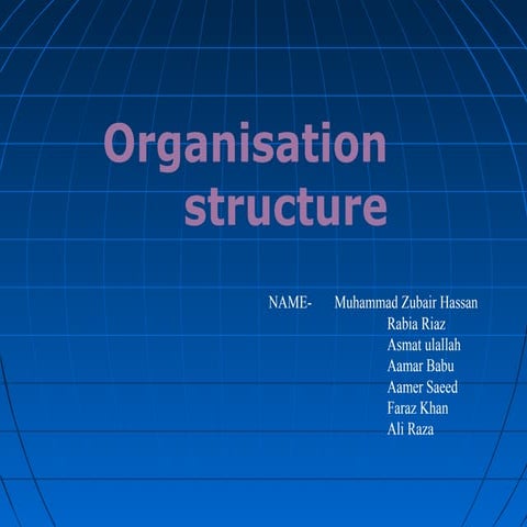 Organization Structure