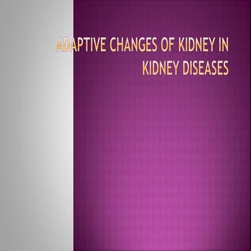 kidney - ADAPTIVE CHANGES OF KIDNEY IN KIDNEY DISEASES