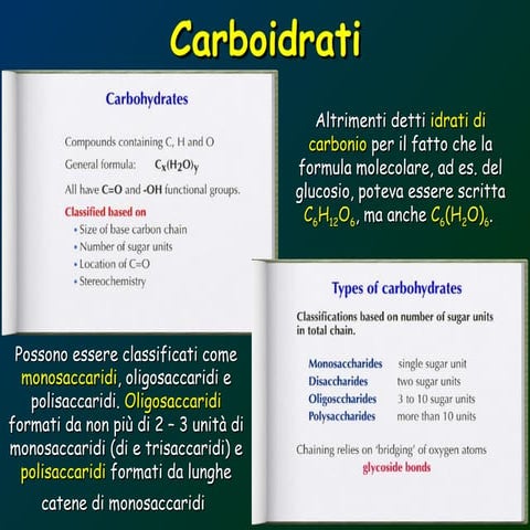All you want know about carbohydrates.ppt