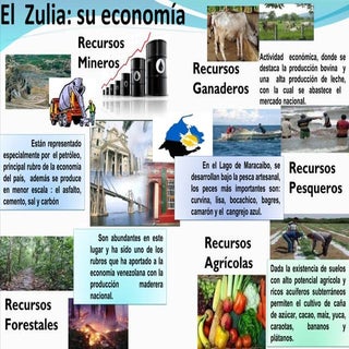 Zulia